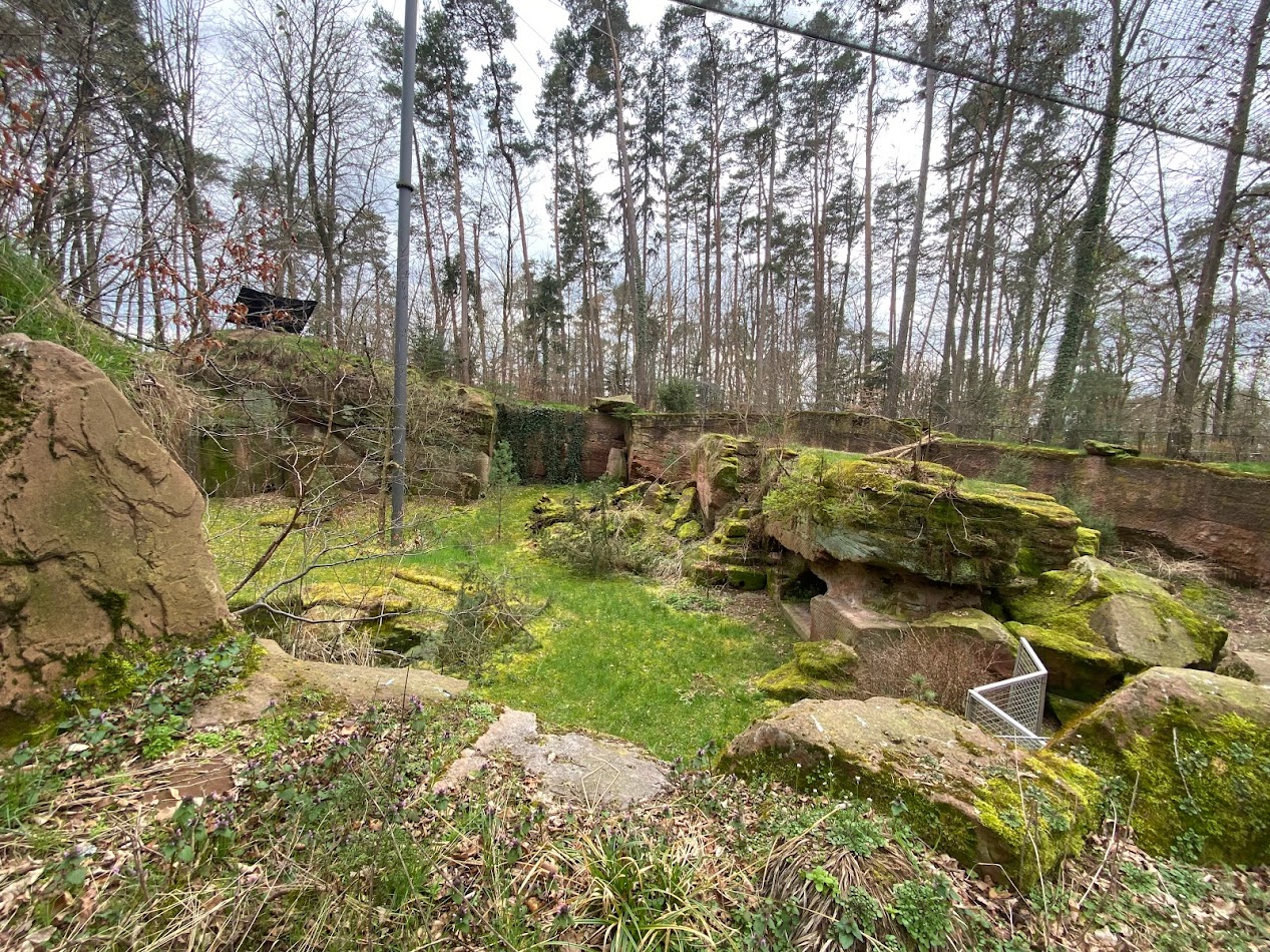 Tiergarten Nürnberg- bearded vulture aviary- 2023