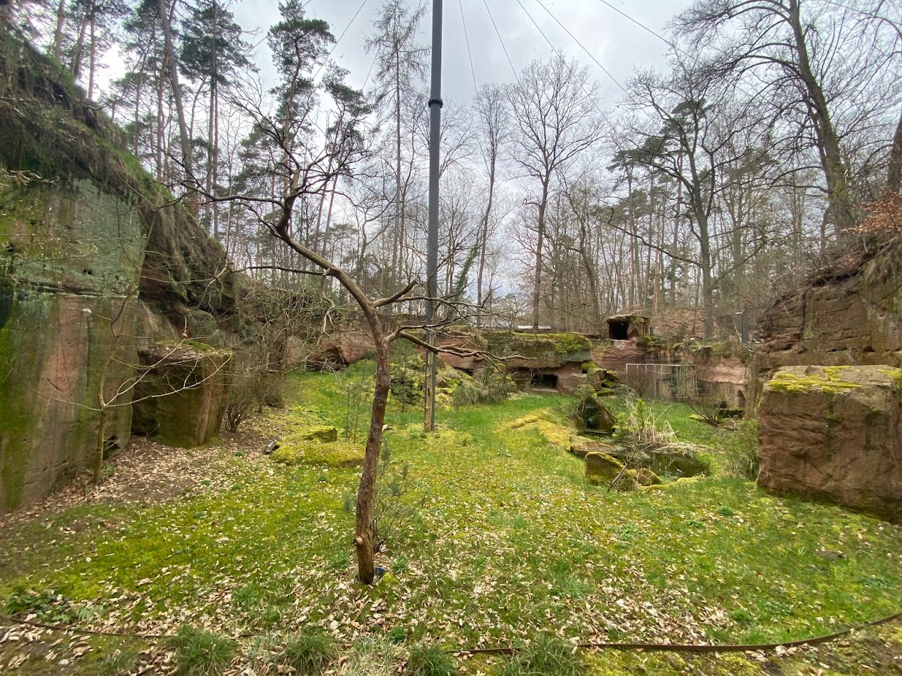 Tiergarten Nürnberg- bearded vulture aviary- 2023