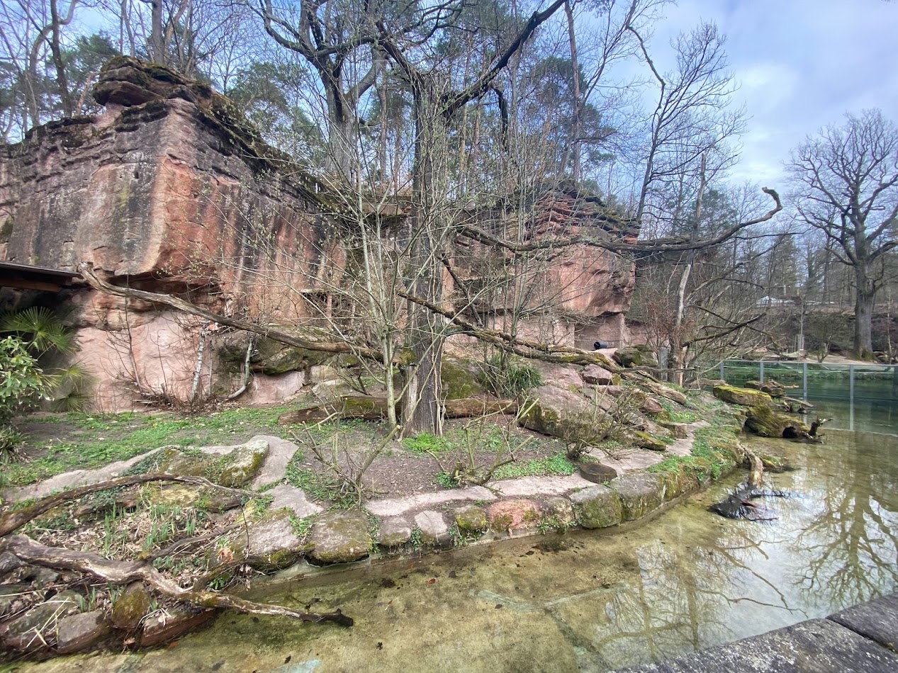 Tiergarten Nürnberg- fishing cat enclosure- 2023
