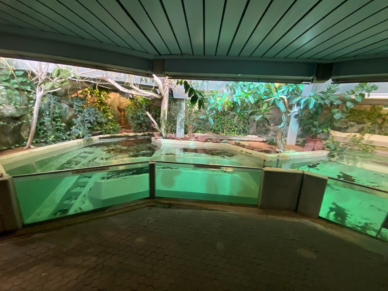 Tiergarten Nürnberg- former manatee exhibit- 2023