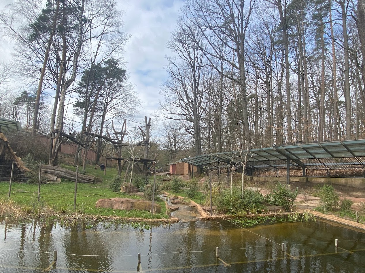 Tiergarten Nürnberg- gorilla and magot enclosure- 2023