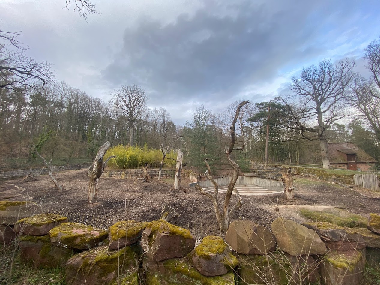 Tiergarten Nürnberg- Indian rhino enclosure- 2023