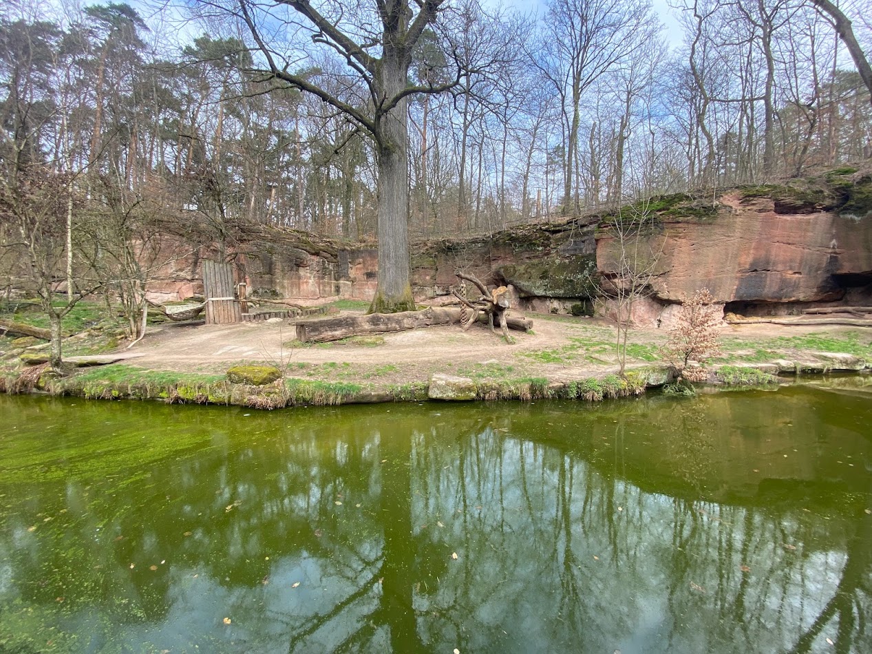 Tiergarten Nürnberg- lion enclosure- 2023