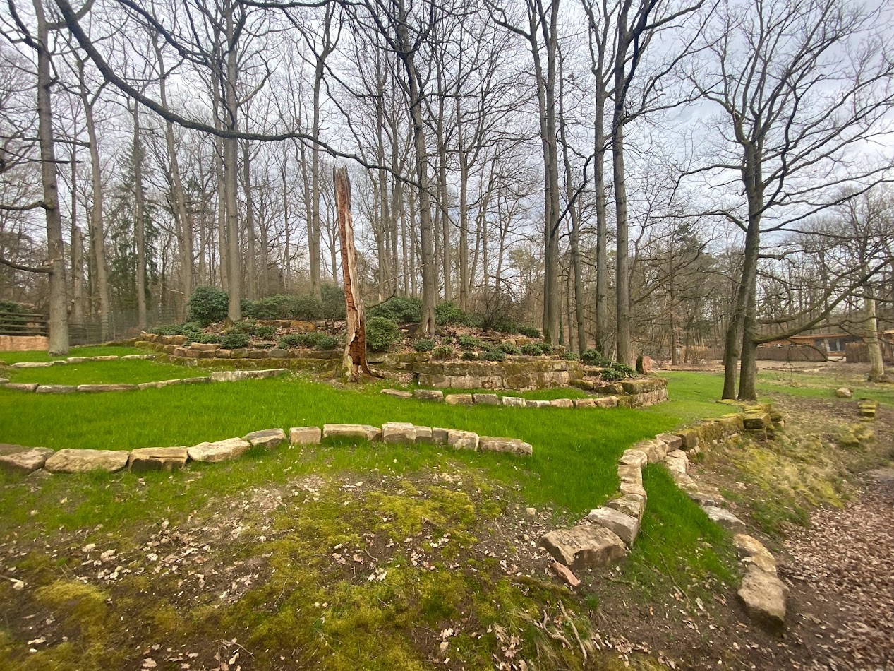 Tiergarten Nürnberg- new takin enclosure- 2023