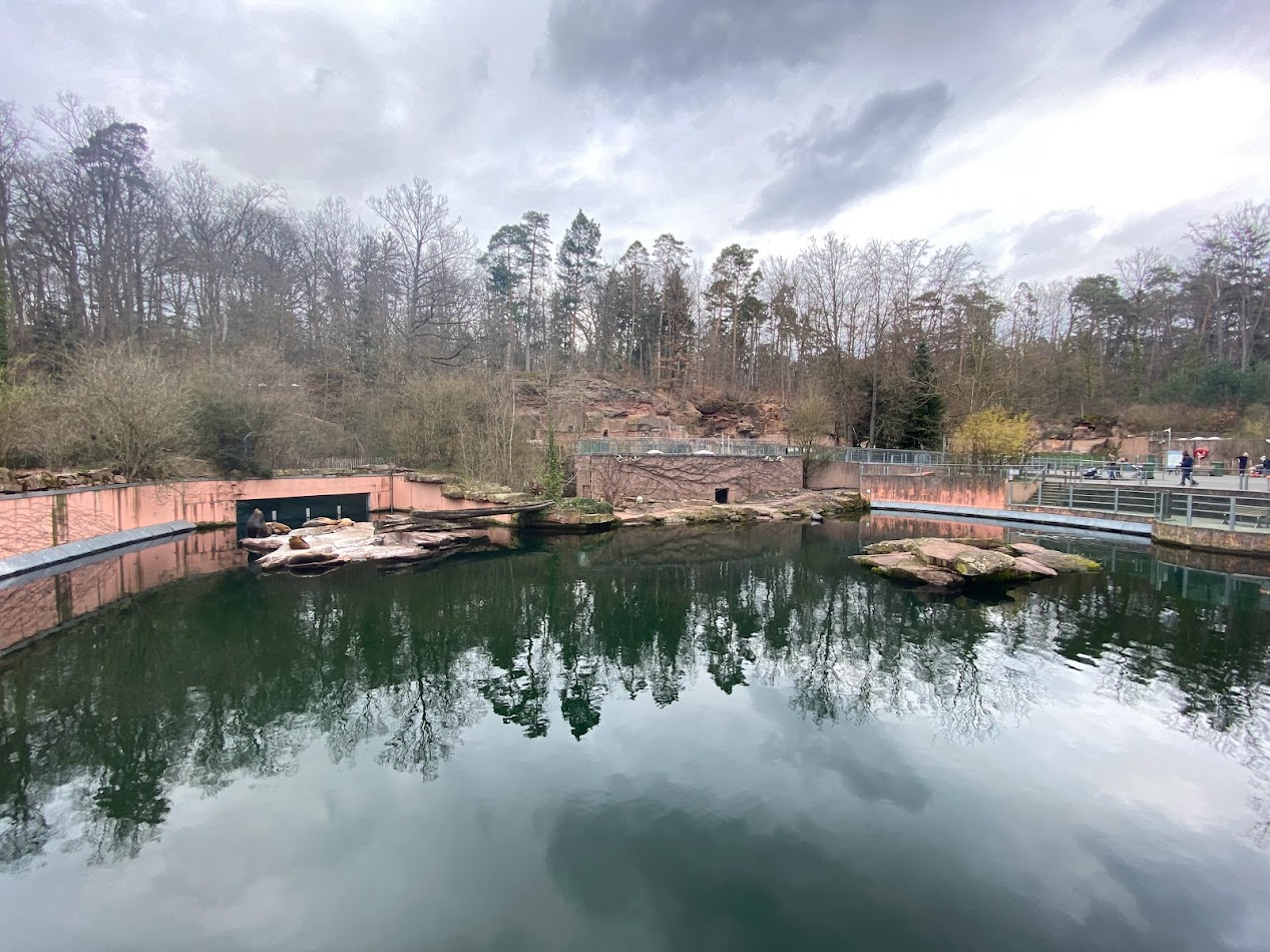 Tiergarten Nürnberg- pinniped enclosure- 2023