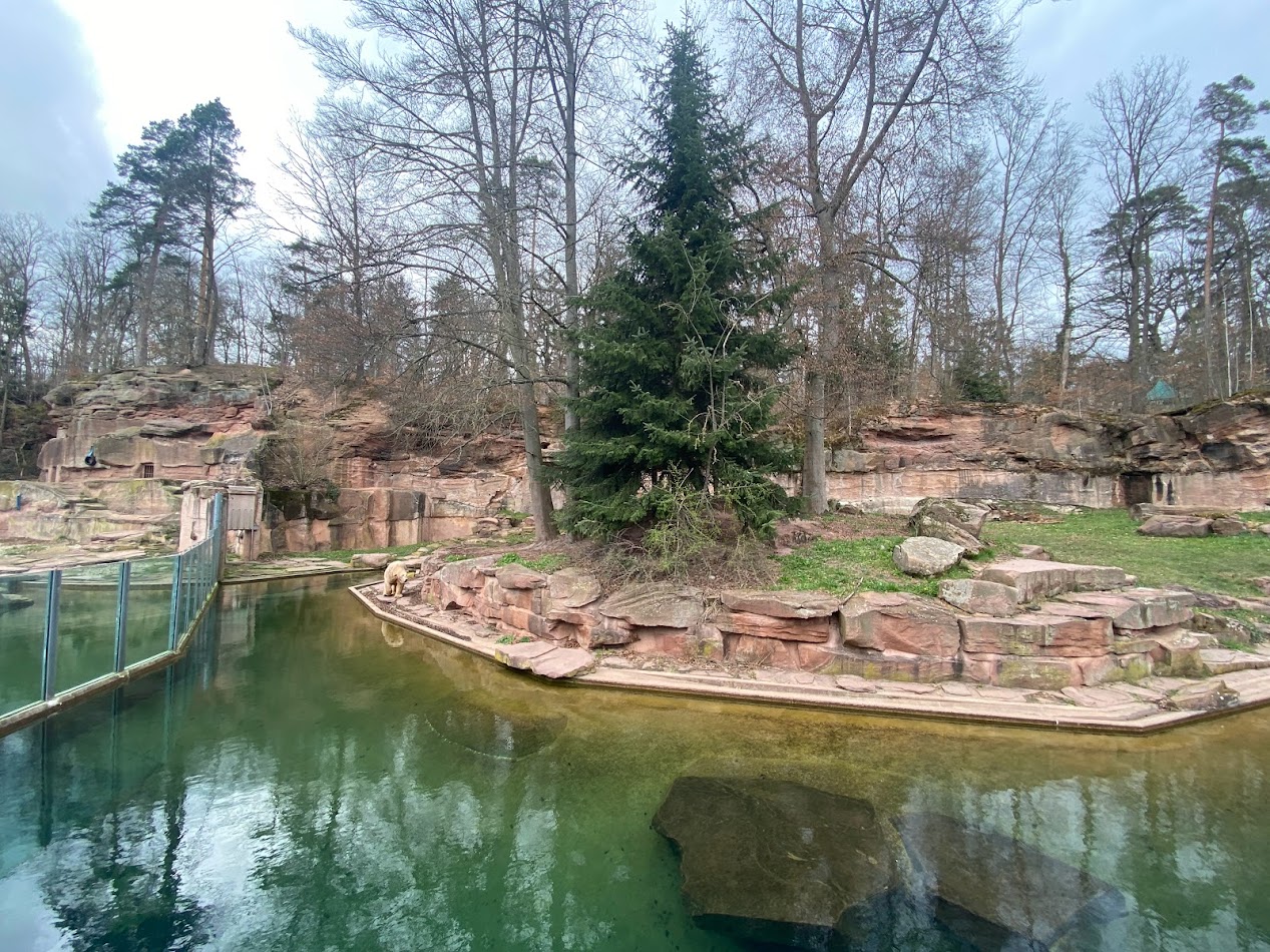 Tiergarten Nürnberg- polar bear enclosure- 2023