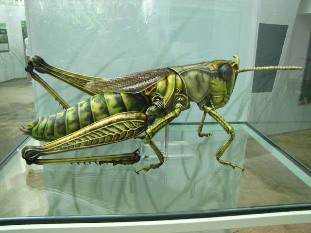 Tiergarten Schönbrunn 12.06.2010