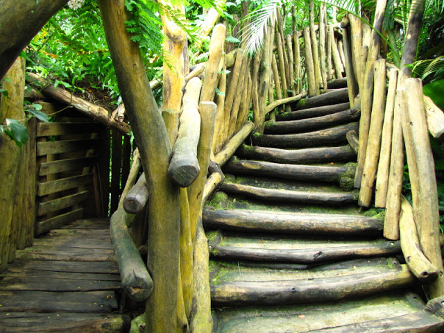 Tiergarten Schönbrunn 12.06.2010