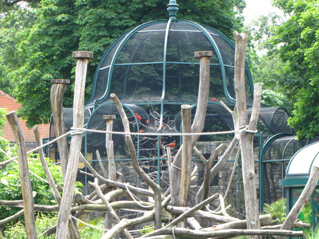 Tiergarten Schönbrunn 12.06.2010