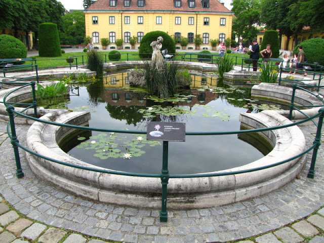 Tiergarten Schönbrunn 12.06.2010