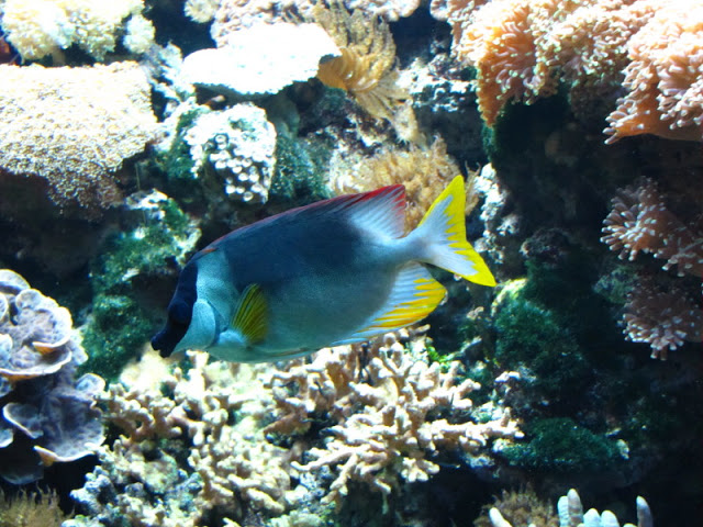Tiergarten Schönbrunn 12.06.2010