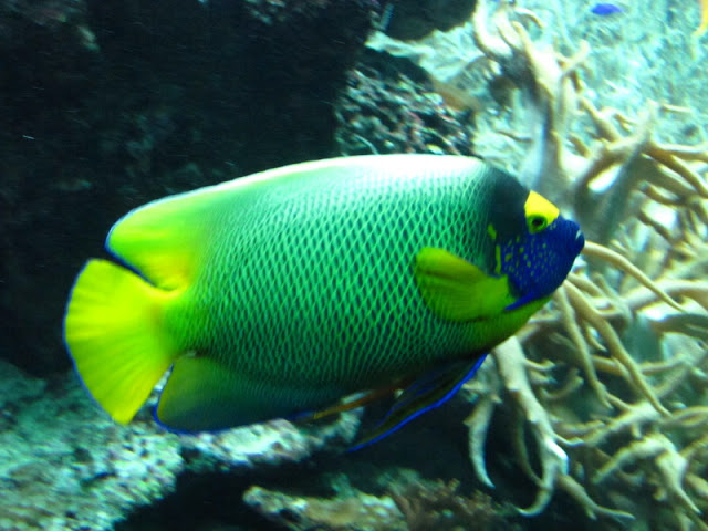 Tiergarten Schönbrunn 12.06.2010