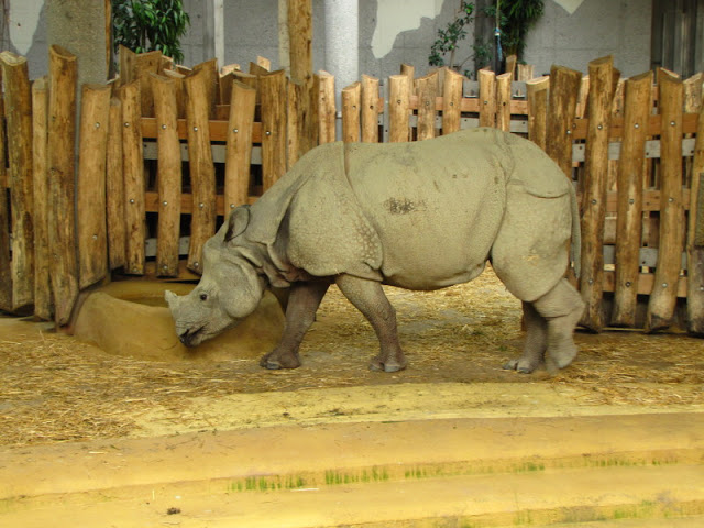 Tiergarten Schönbrunn 12.06.2012