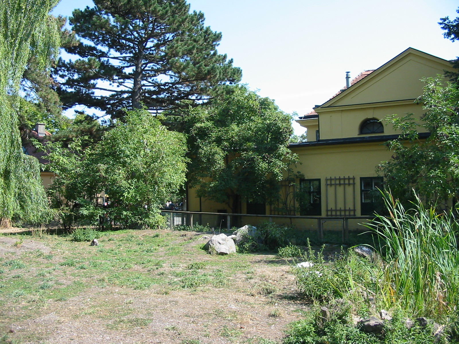 Tiergarten Schönbrunn - Giant Anteater exhibit