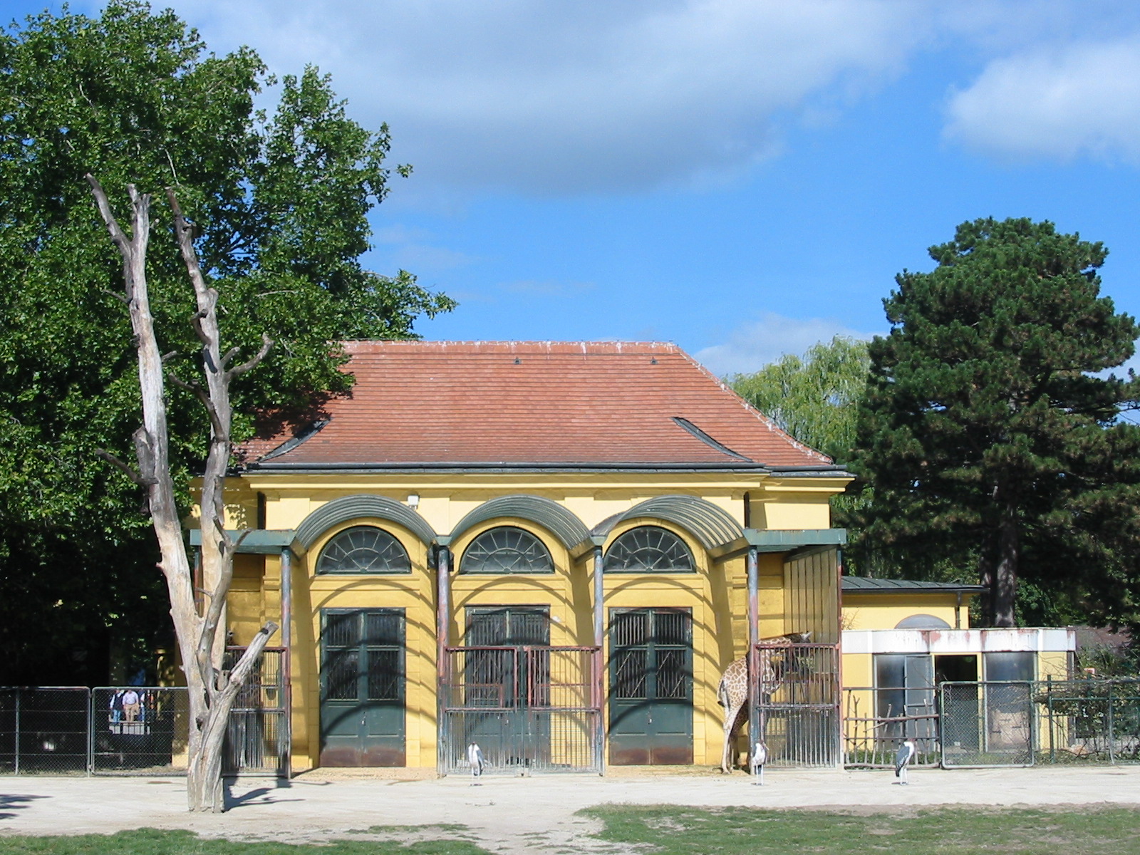 Tiergarten Schönbrunn - Giraffe and Marabu enclosure
