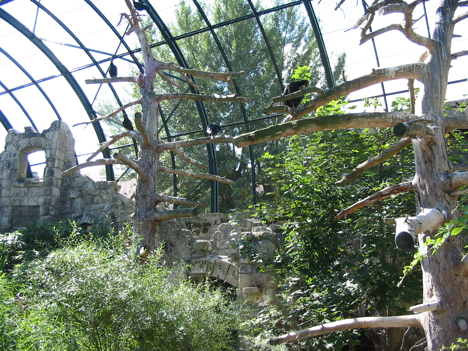 Tiergarten Schönbrunn - Inside an Aviary