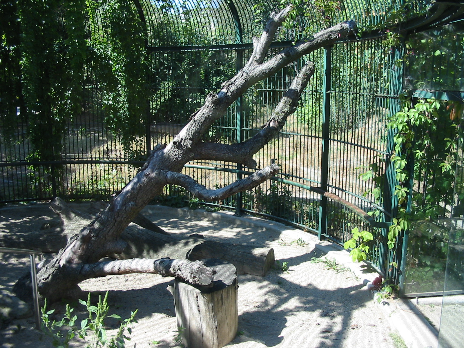 Tiergarten Schönbrunn - Inside one of the old big cat cages