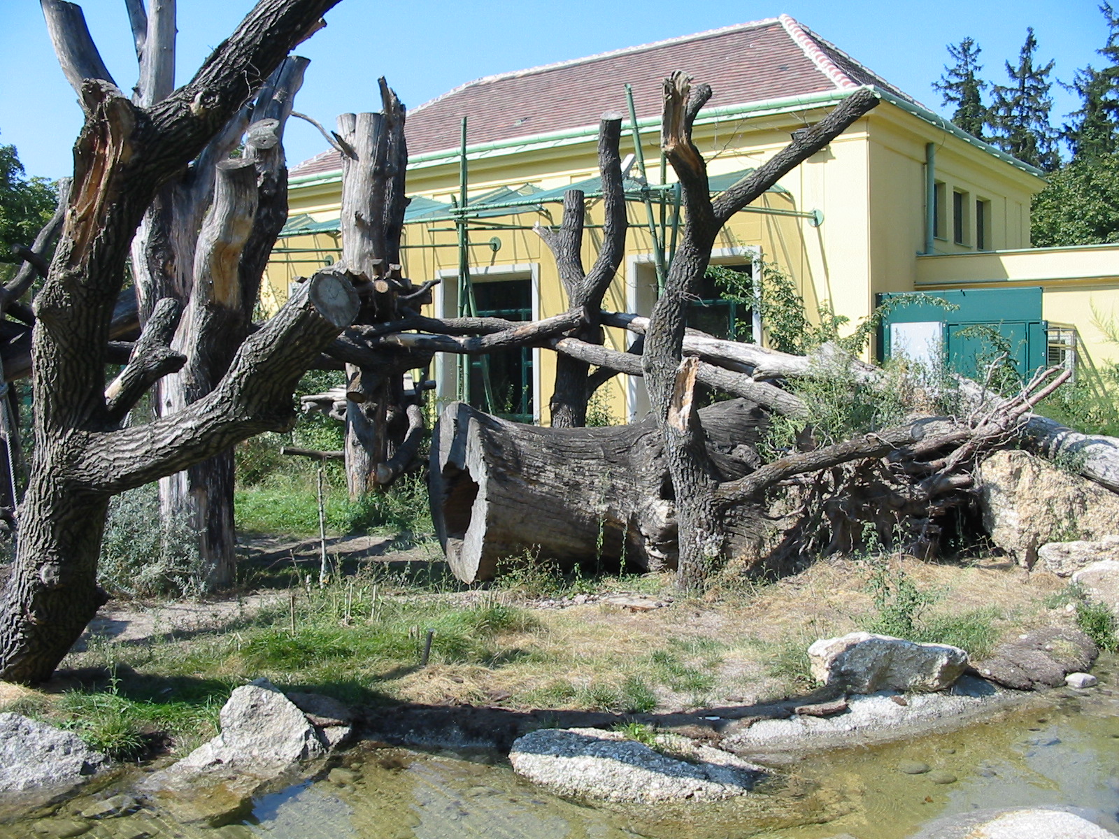 Tiergarten Schönbrunn - Outdoor Panda exhibit