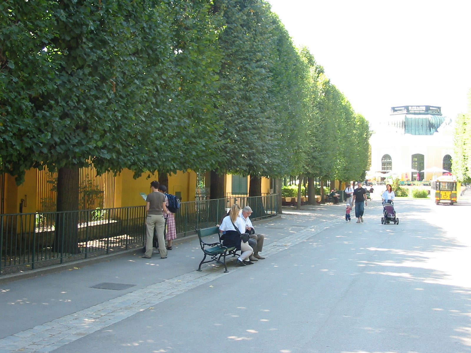 Tiergarten Schönbrunn - Pathway in the Tiergarten