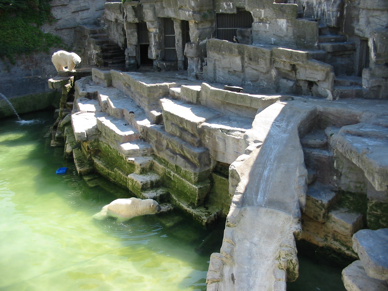 Tiergarten Schönbrunn - Polar Bear exhibit