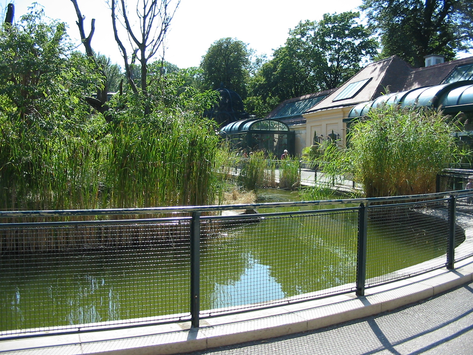 Tiergarten Schönbrunn - Pond in the Tiergarten