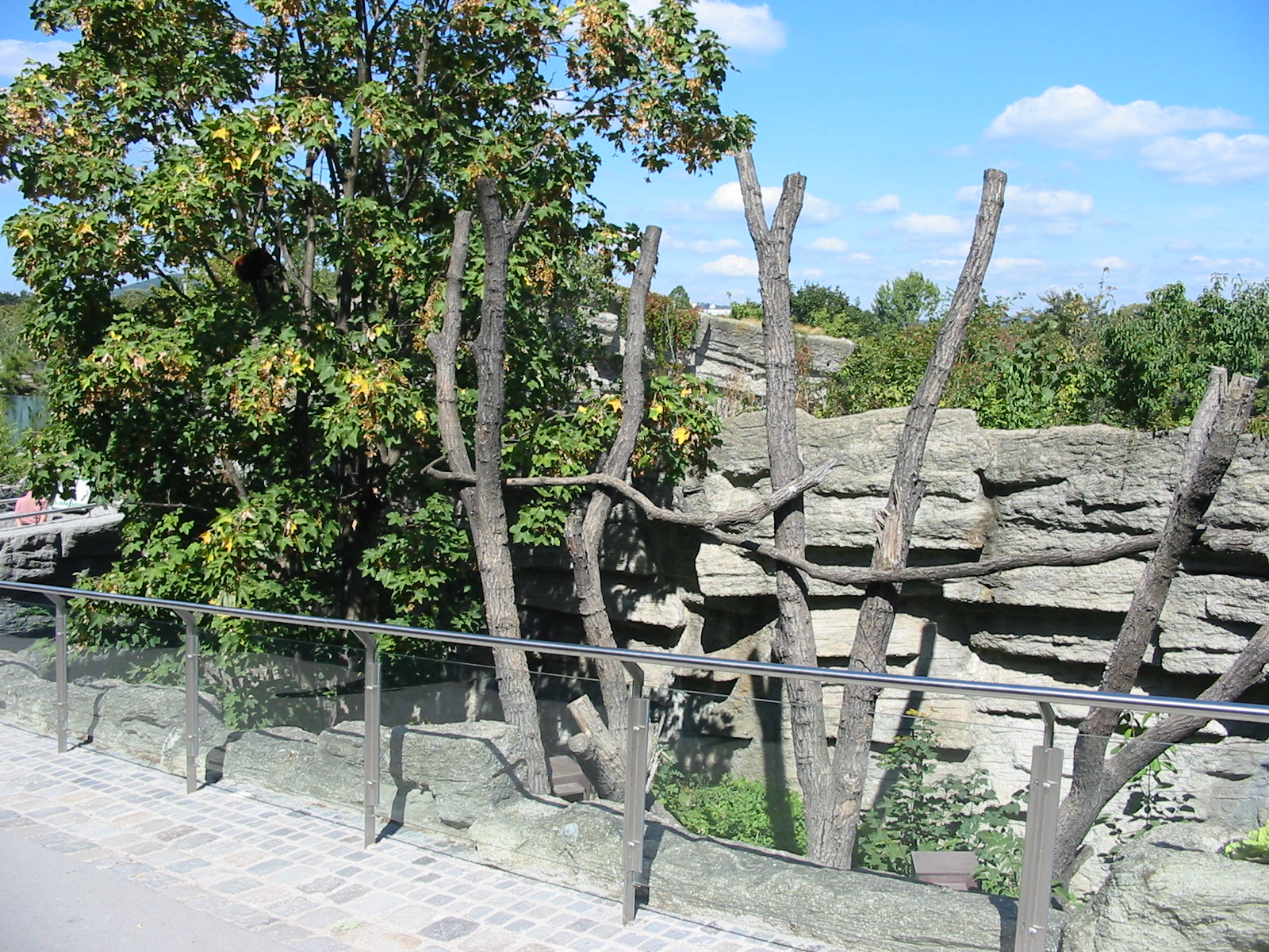 Tiergarten Schönbrunn - Red Panda exhibit