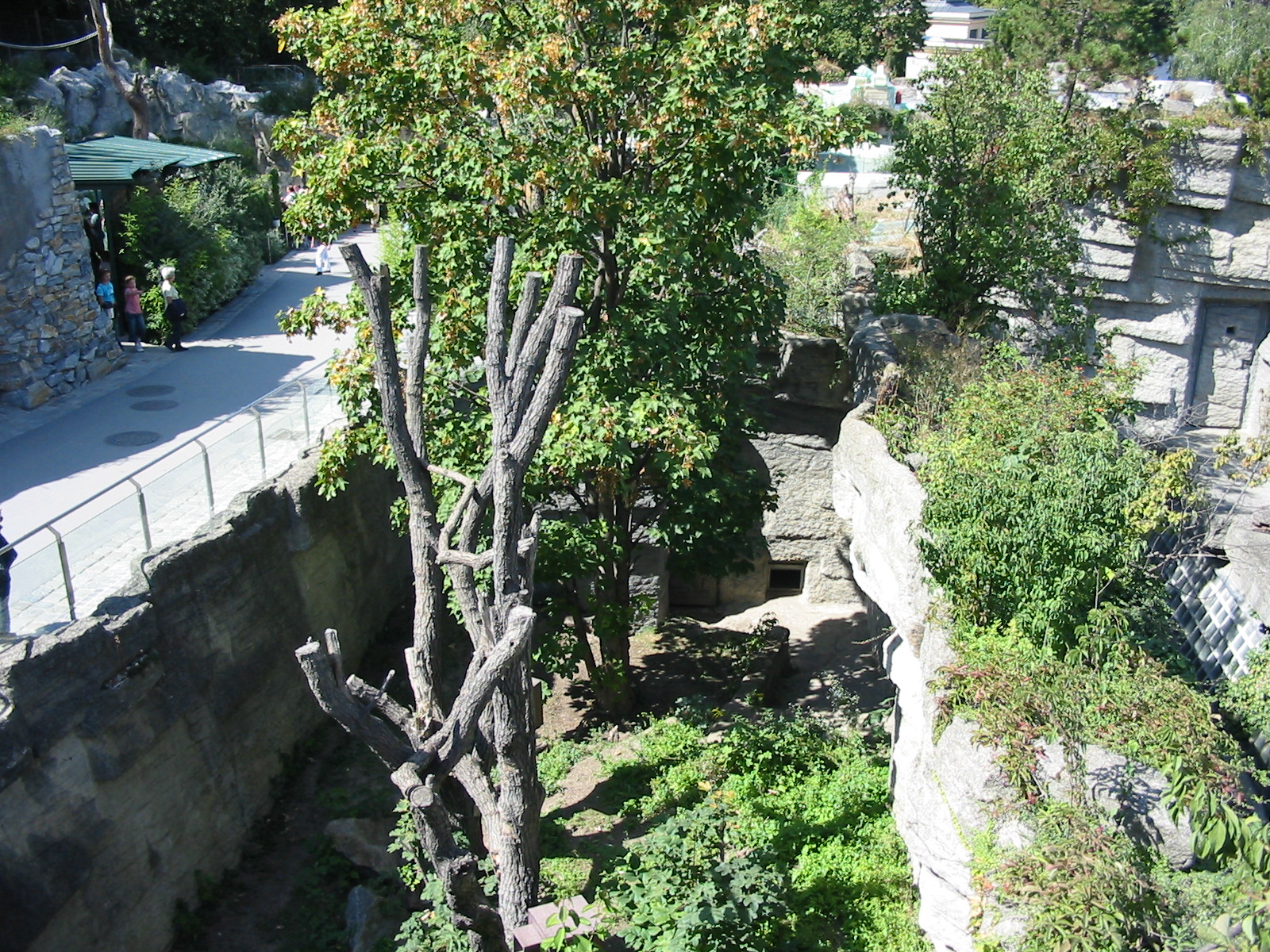 Tiergarten Schönbrunn - Side-view of the Red Panda exhibit