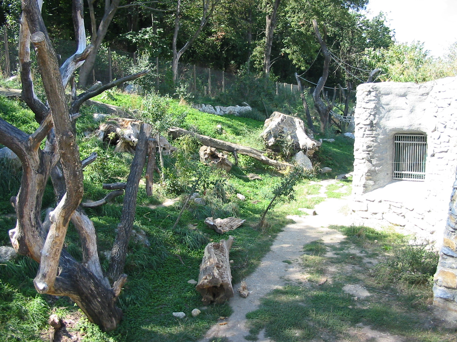 Tiergarten Schönbrunn - Spectacled Bear exhibit