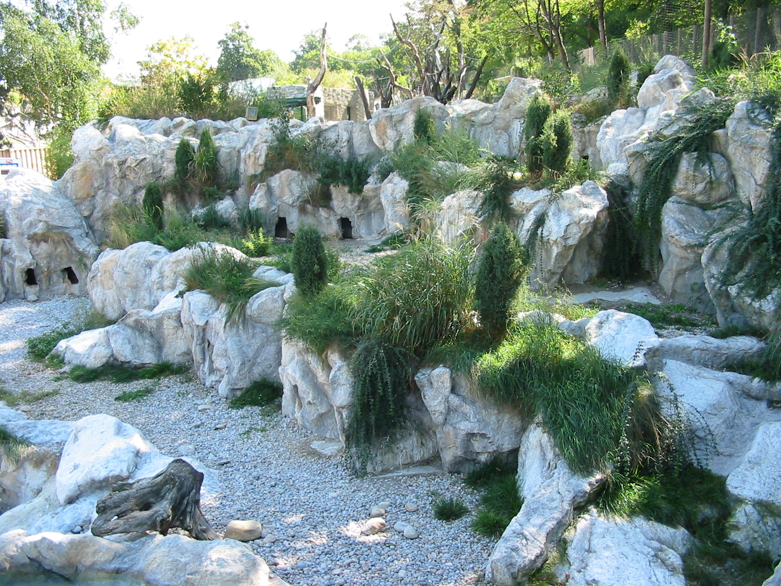 Tiergarten Schönbrunn - The new Penguin exhibit