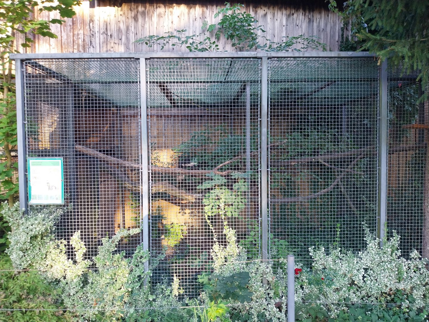 Tiergarten Walding - Black-capped capuchin cage