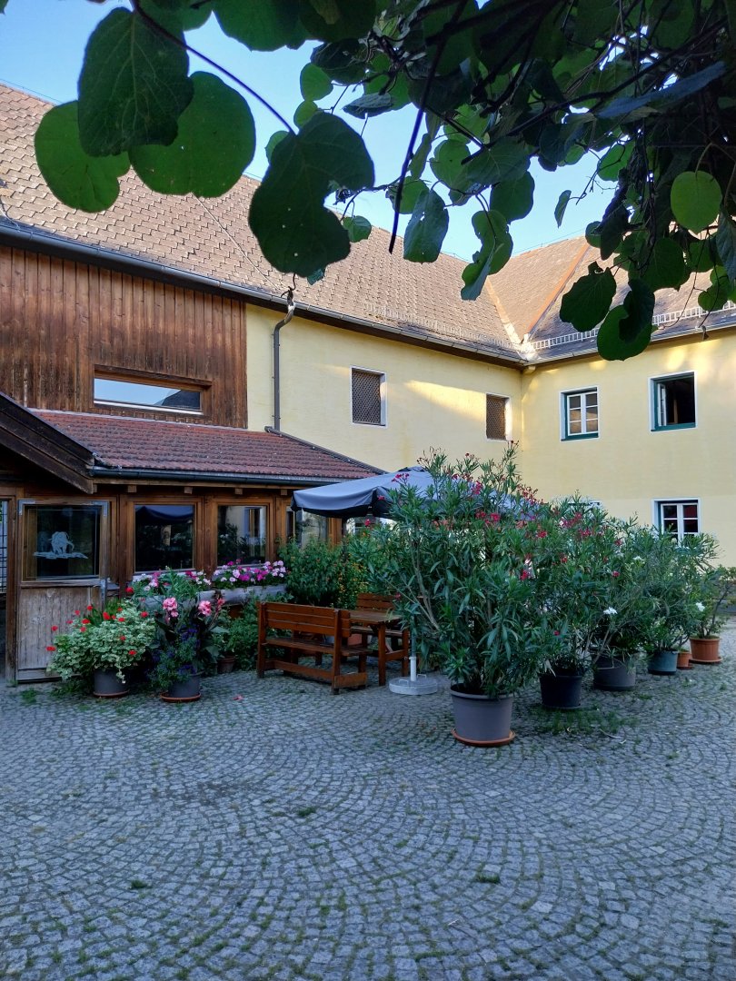 Tiergarten Walding - Courtyard