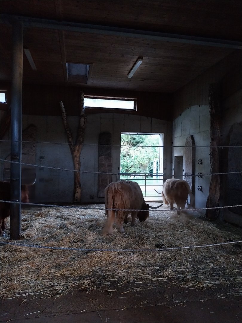Tiergarten Walding - Former elephant barn