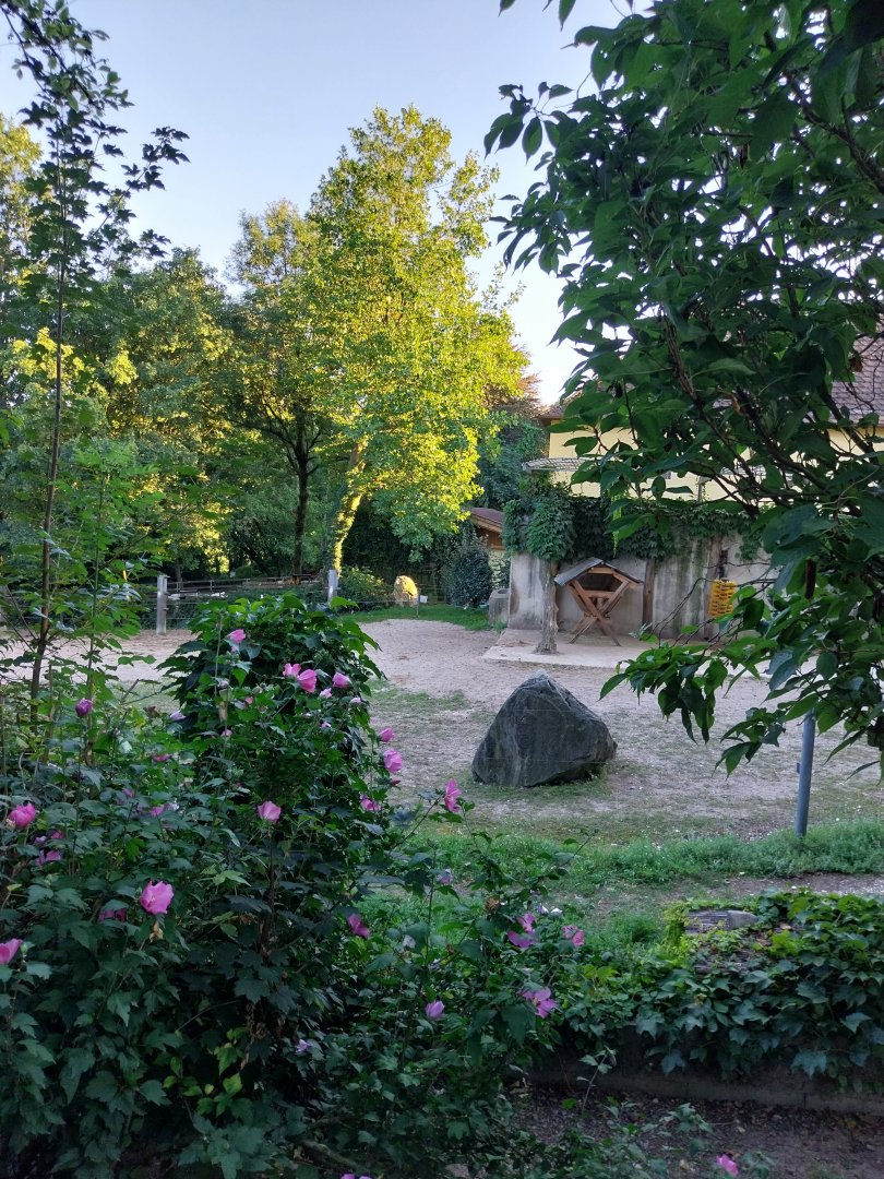 Tiergarten Walding - Former elephant enclosure