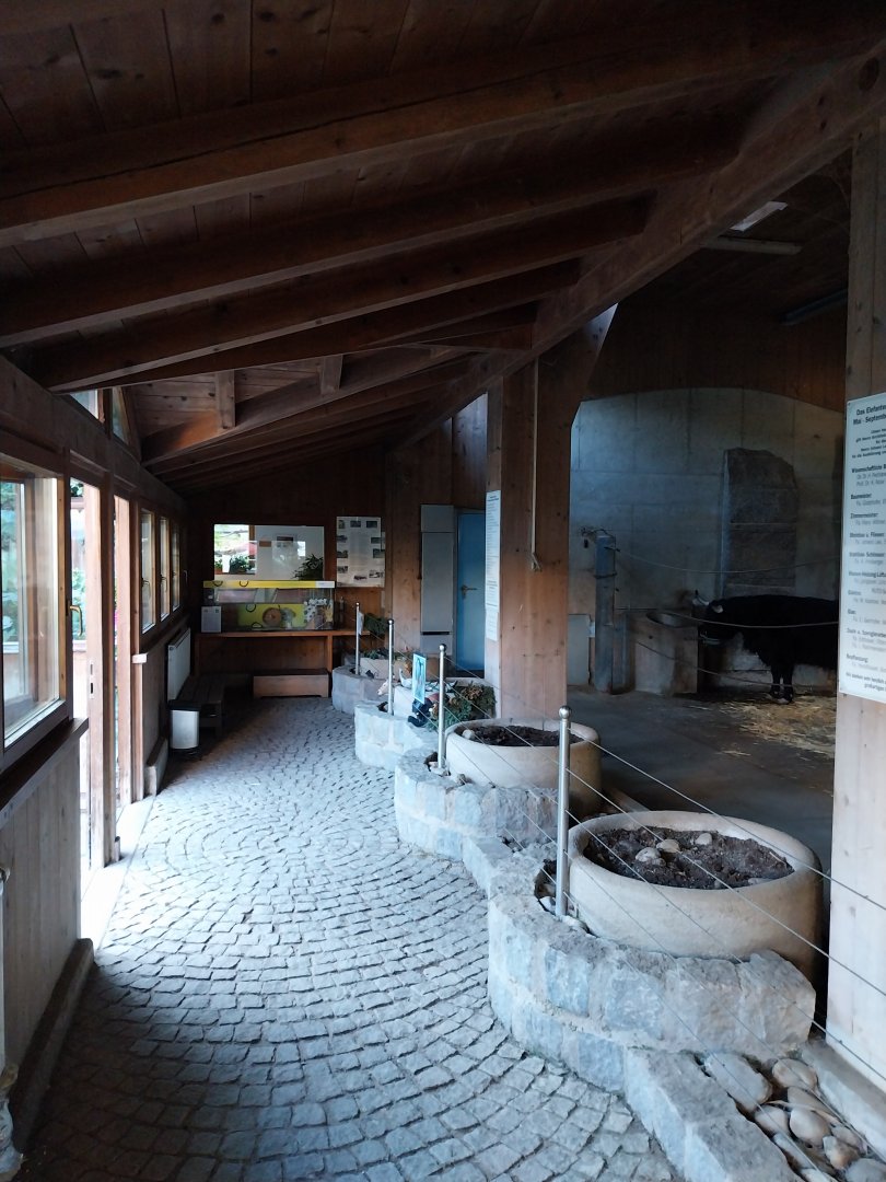 Tiergarten Walding - Former elephant stable