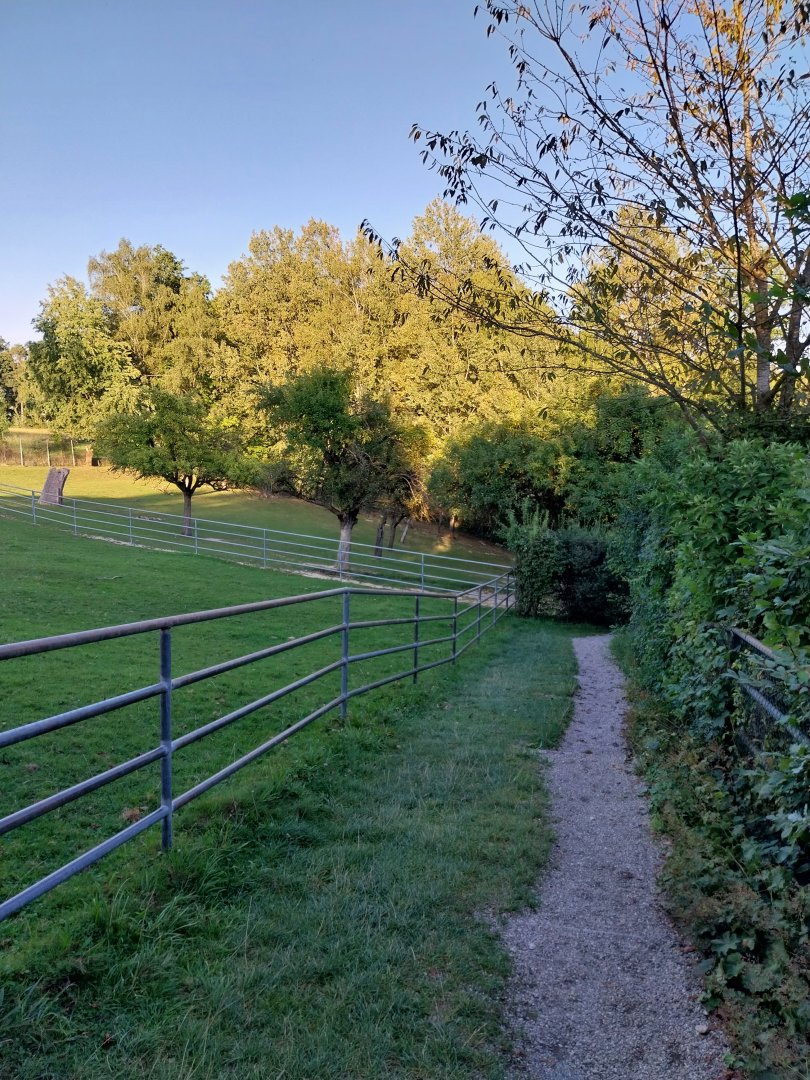 Tiergarten Walding - General view