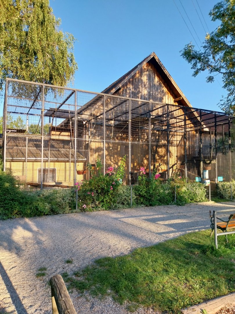 Tiergarten Walding - Lar enclosure