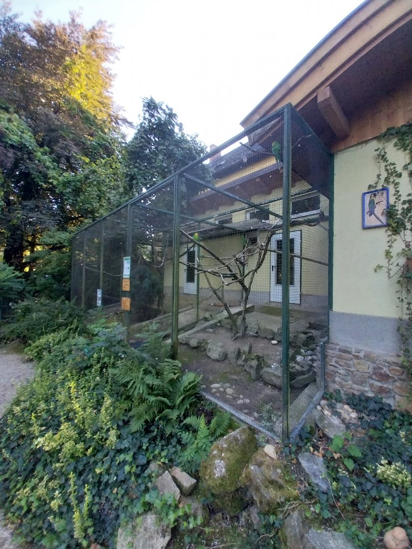 Tiergarten Walding - Parrot aviaries