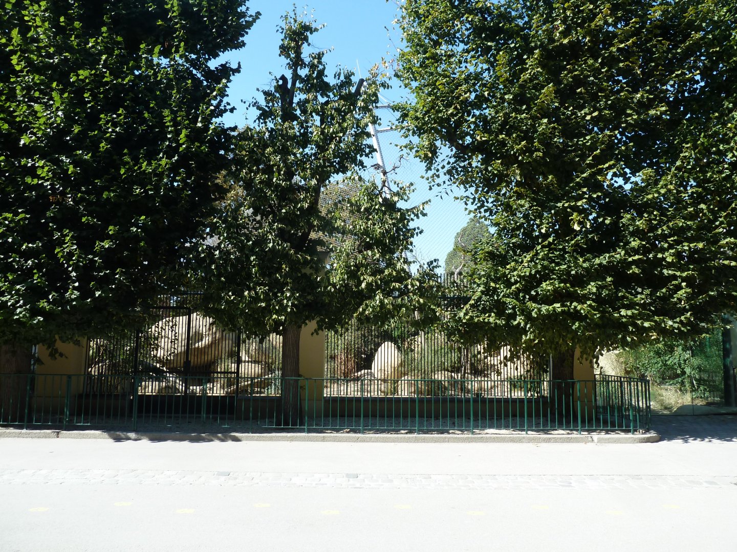 Tiergartenallee - Lion enclosure