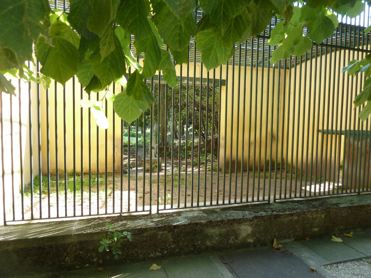 Tiergartenallee - Old carnivore cage and tiger enclosure