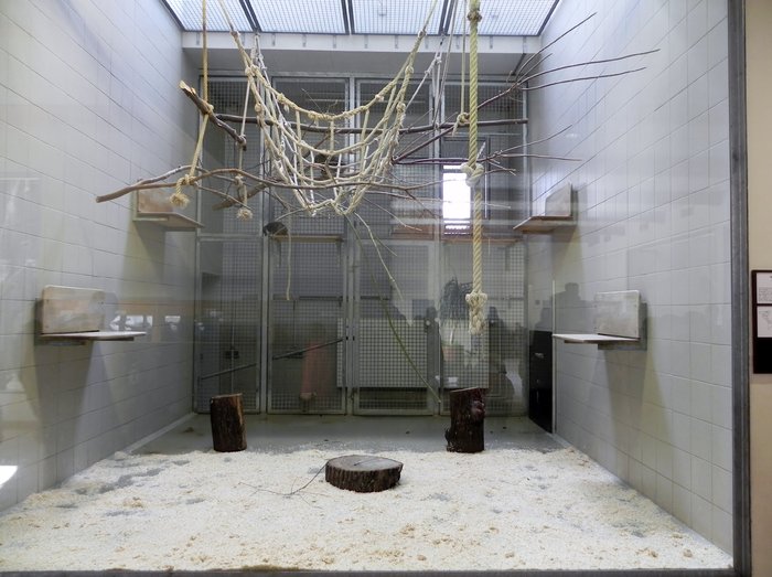 Tierpark 2013: No Comment