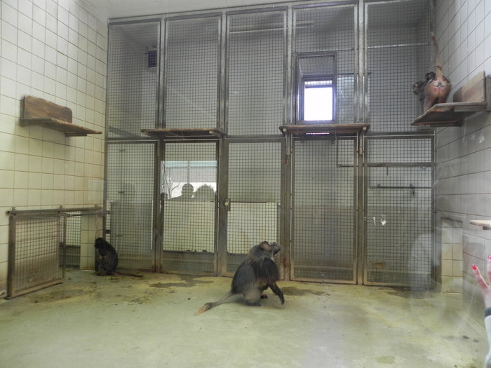 Tierpark 2013: No Comment