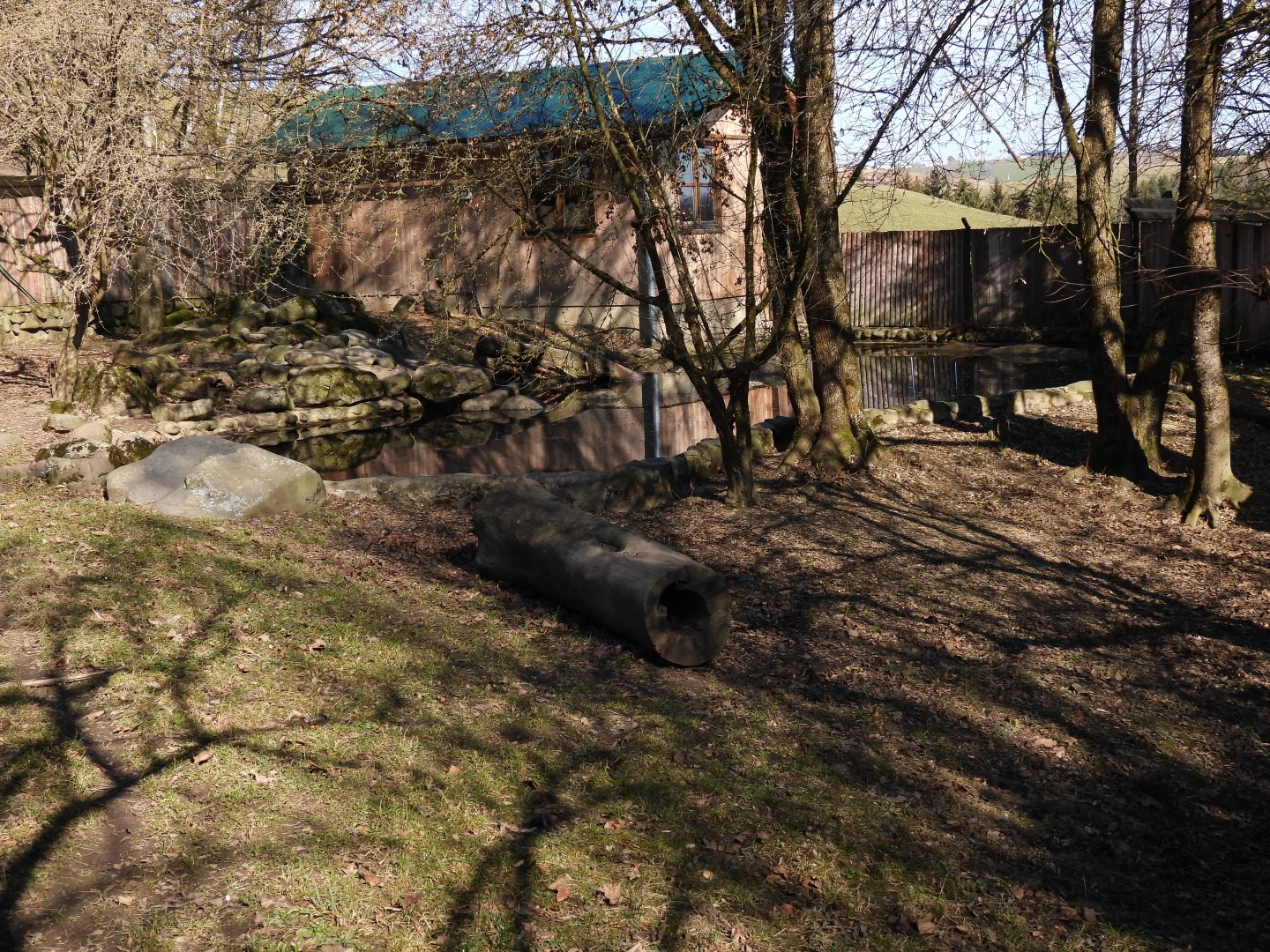 Tierpark Altenfelden - Asian small-clawed otter