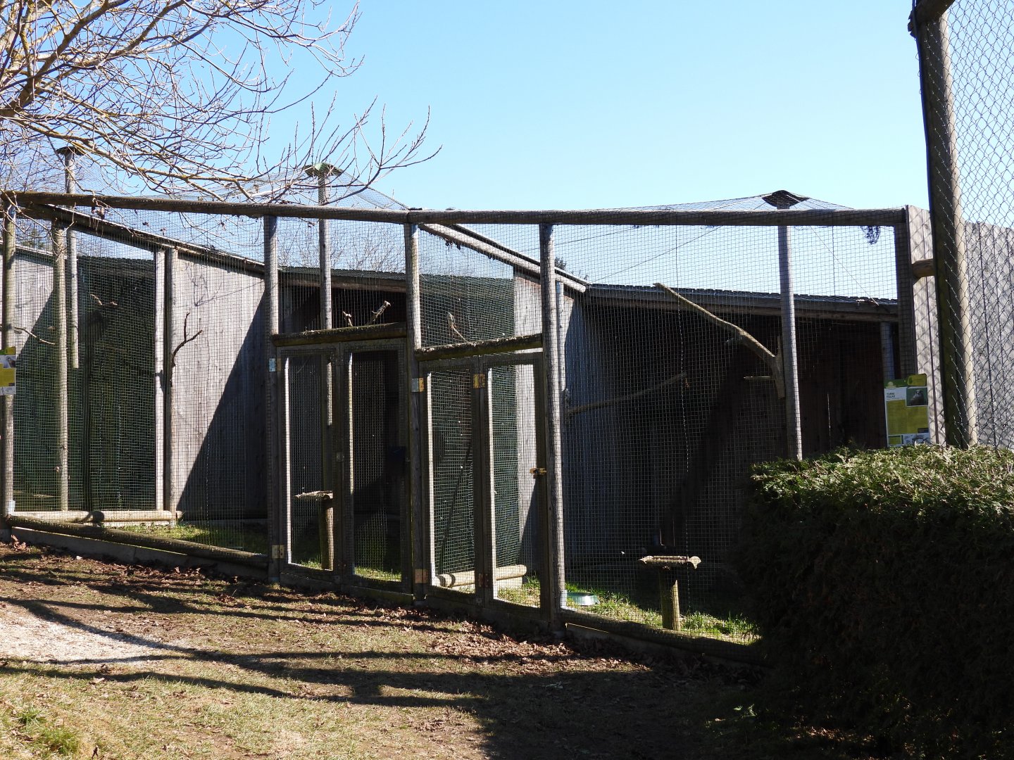 Tierpark Altenfelden - Aviary for Common & American kestrel