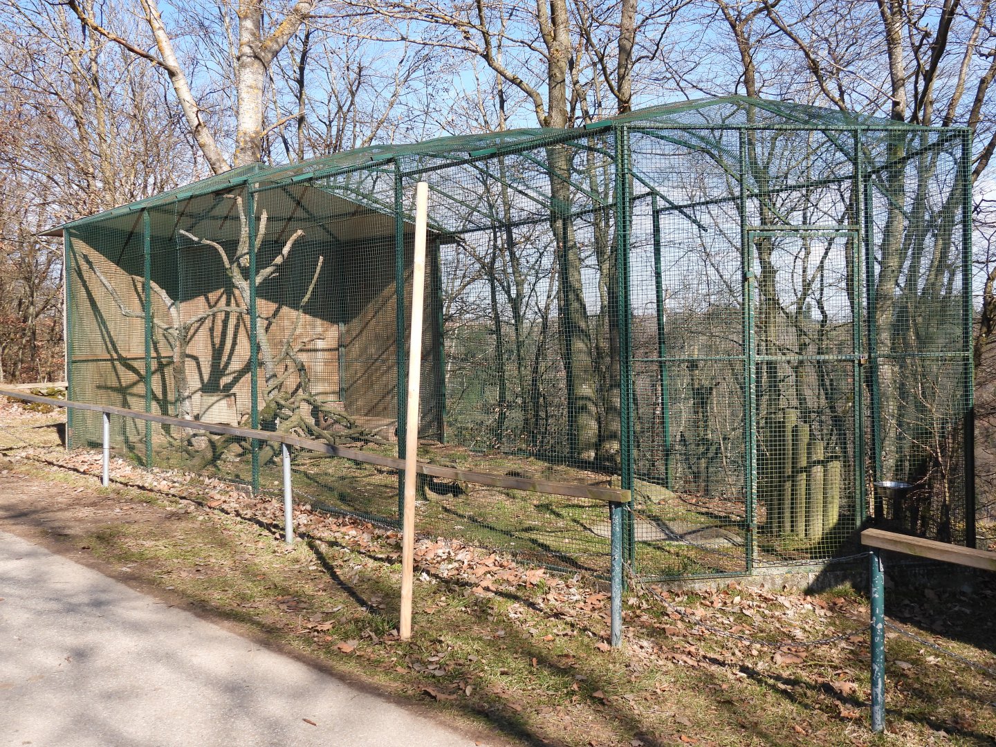 Tierpark Altenfelden - Beech marten
