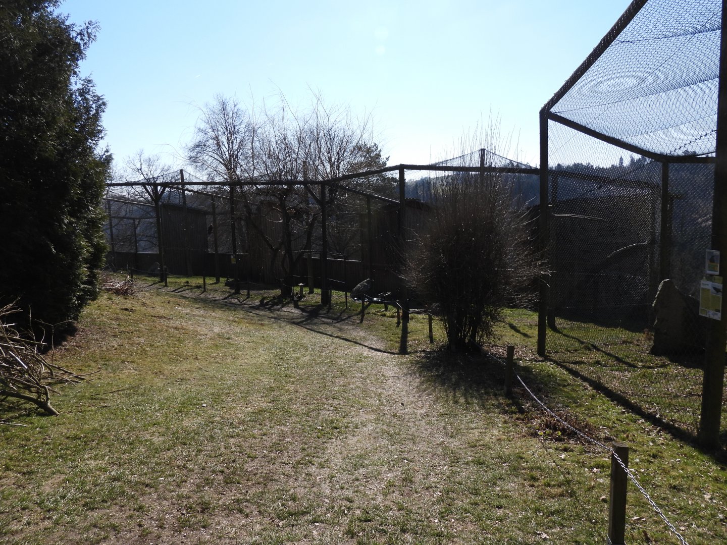 Tierpark Altenfelden - Bird of Prey aviaries