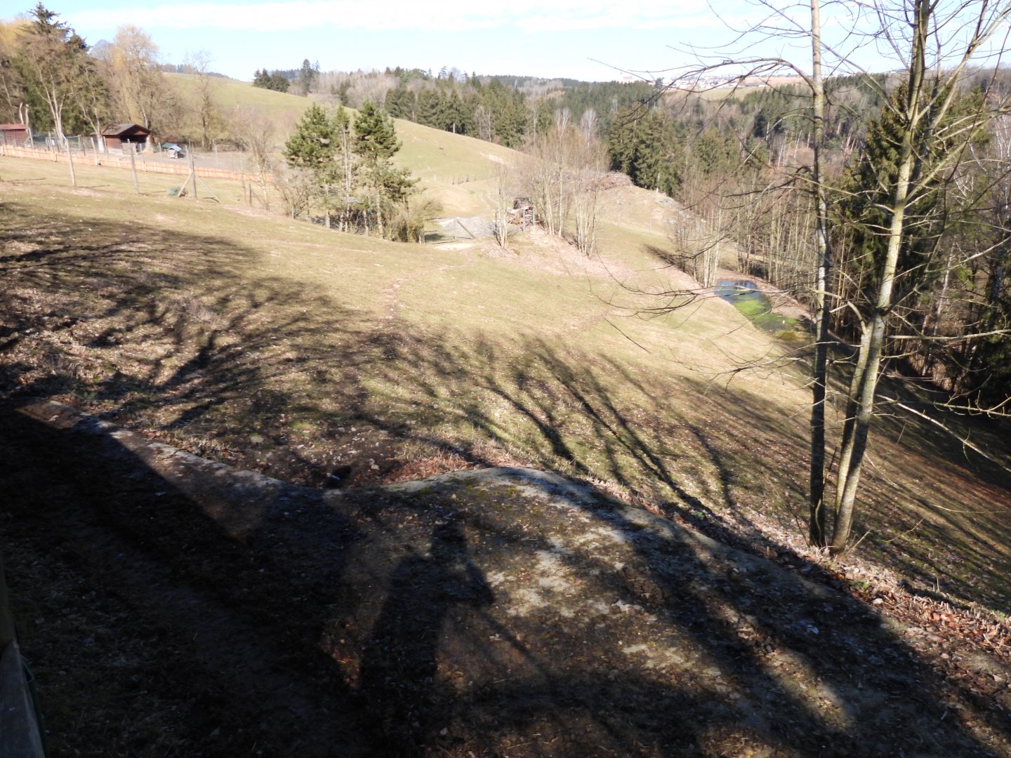 Tierpark Altenfelden - Chapman's zebra exhibit