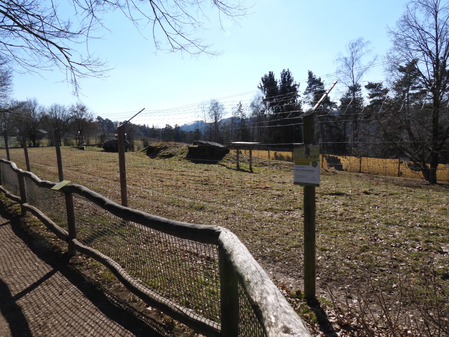 Tierpark Altenfelden - Cheetah exhibit