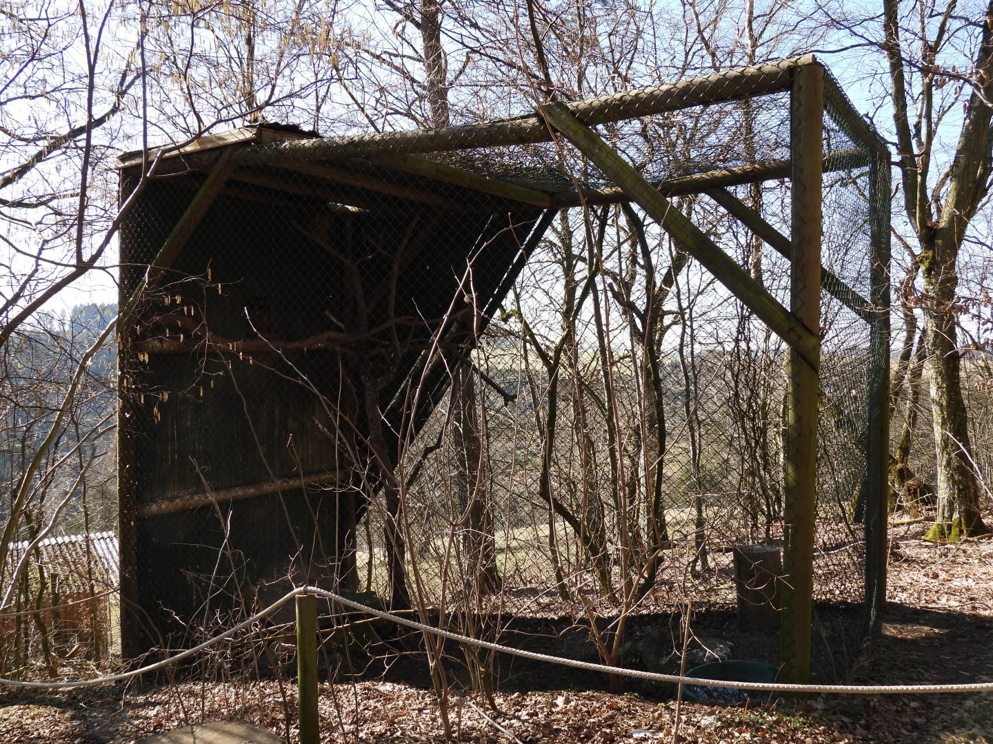 Tierpark Altenfelden - Eagle owl aviary