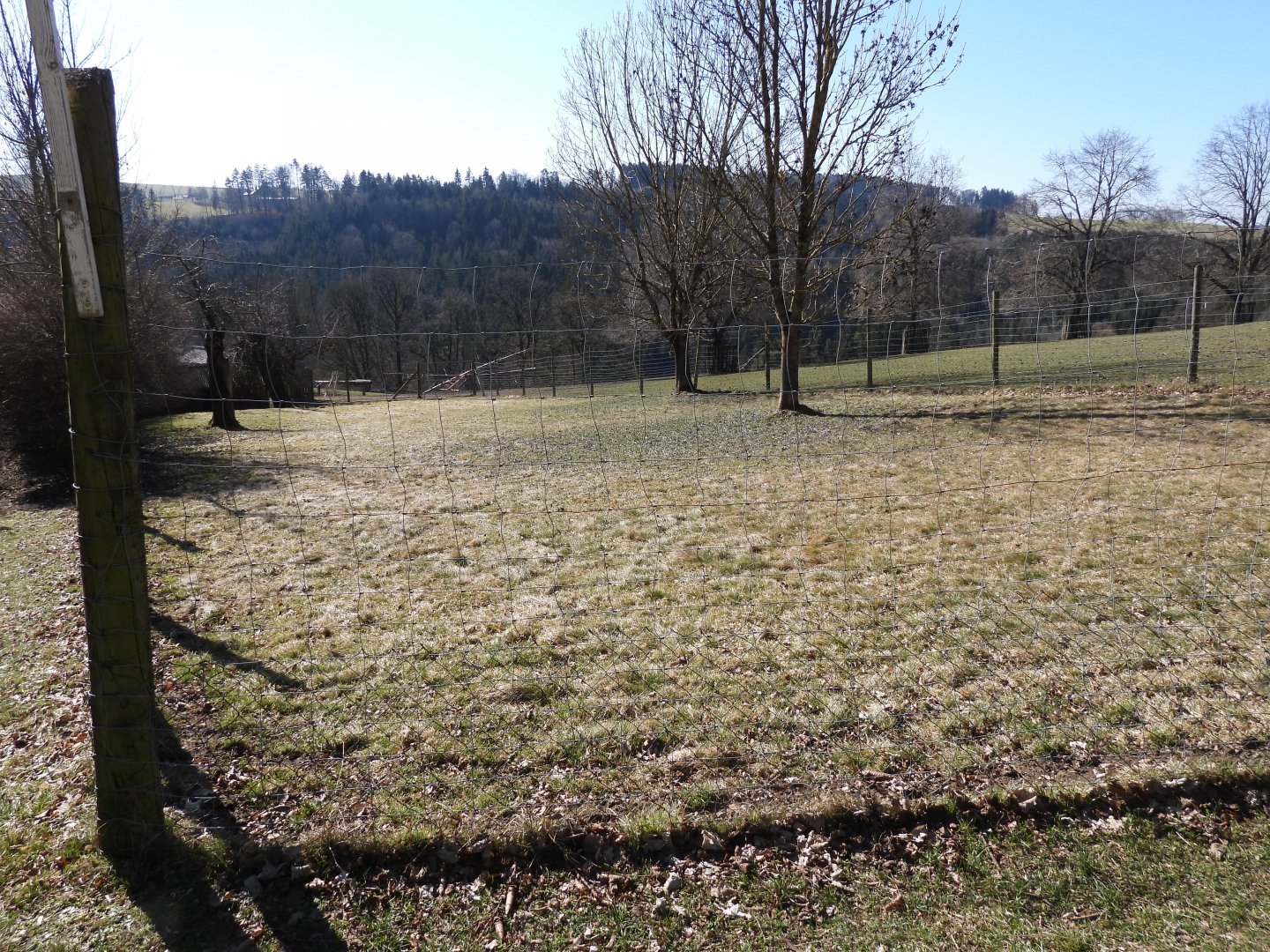 Tierpark Altenfelden - Exhibit for Reeves muntjac