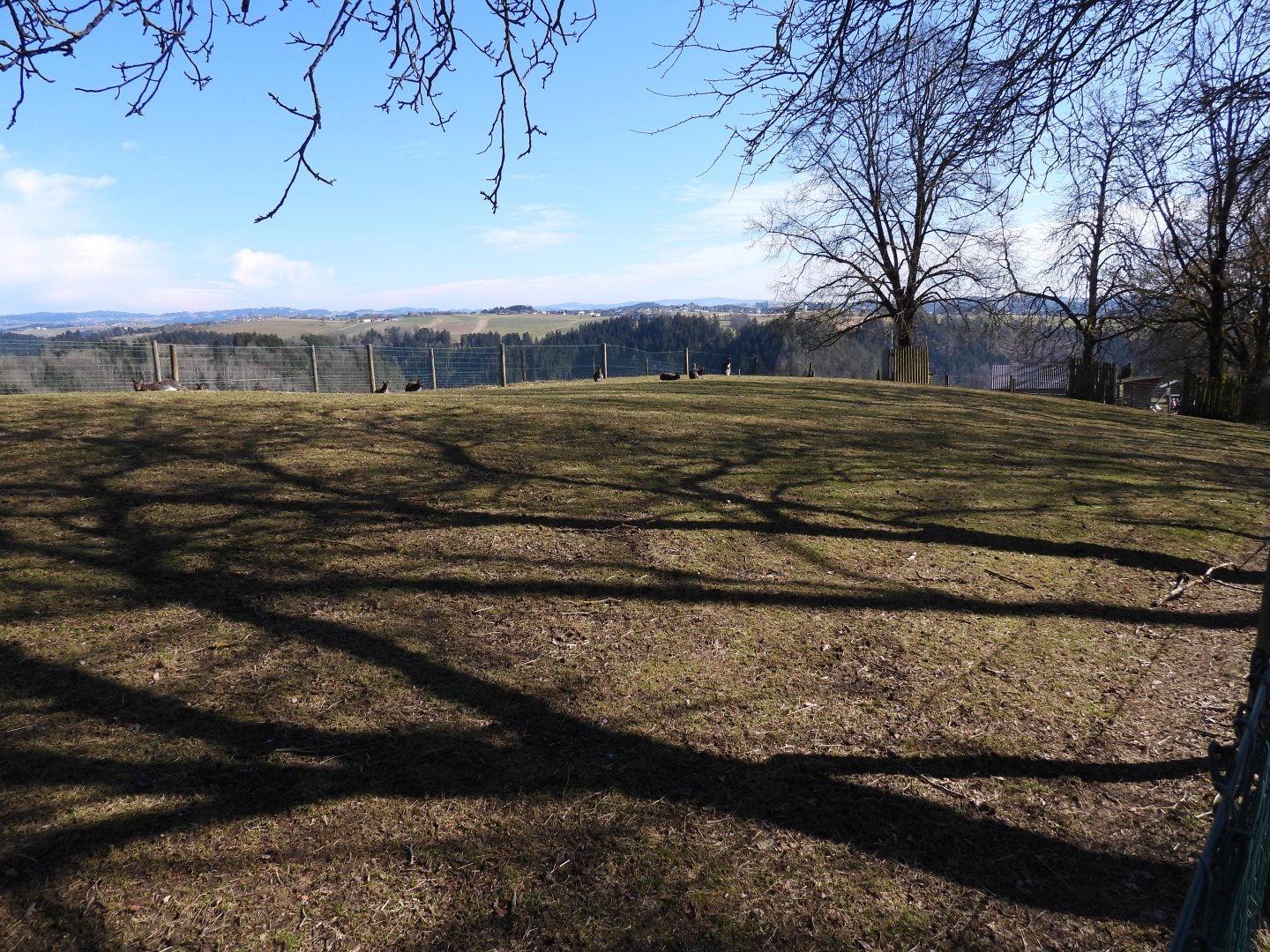Tierpark Altenfelden - Exhibit for roe deer, Patagonian mara and red-necked wallaby